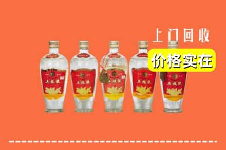 南宁市江南回收老五粮液